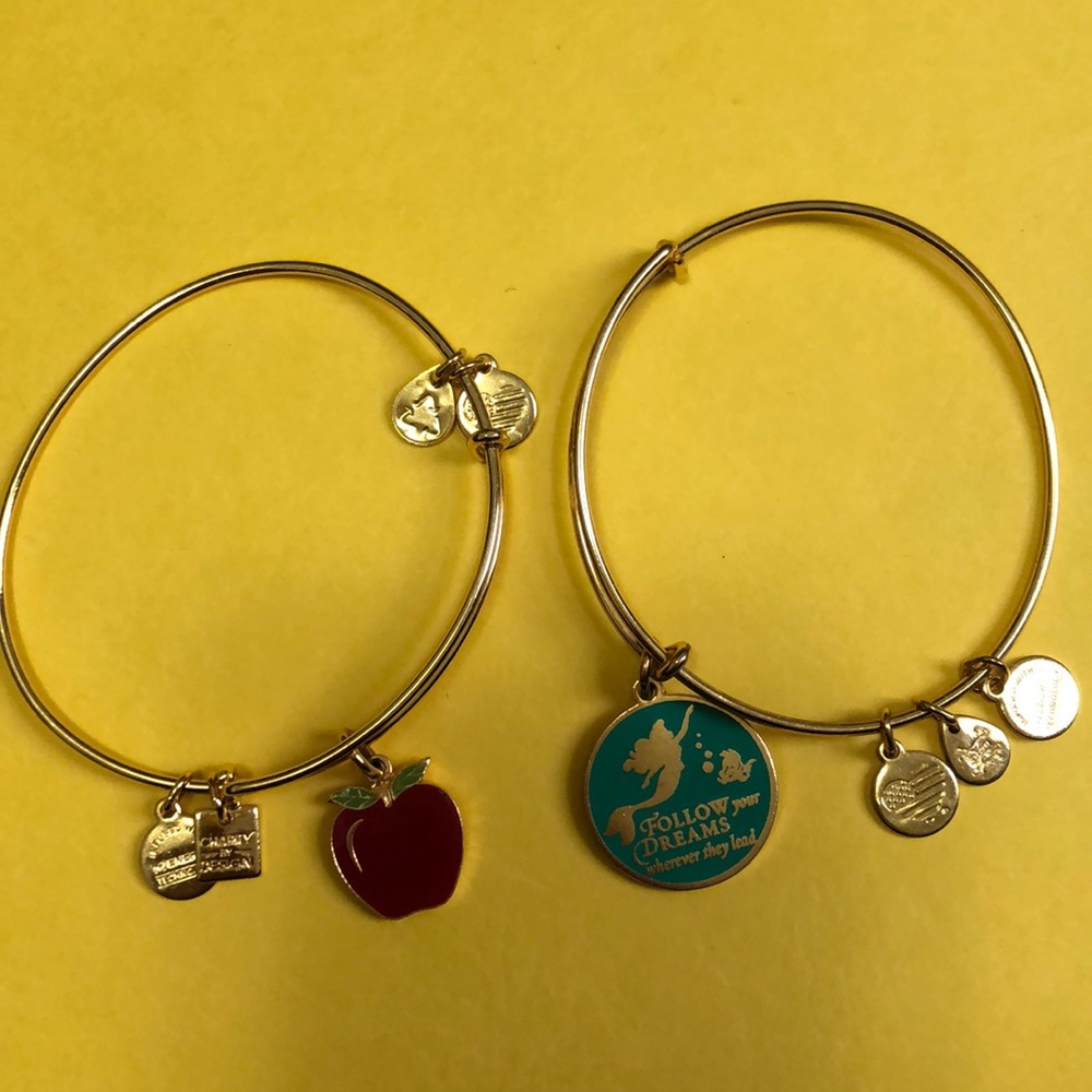 Two Alex and Ani bracelets